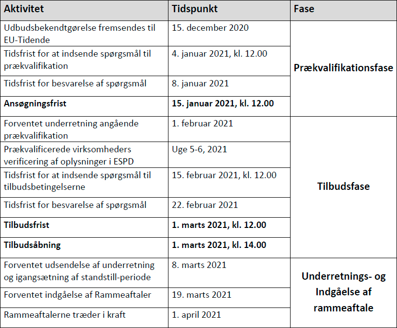 udbud december2020 handvaerker